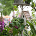 Garten- und Landhaustage - La Villa Cotta  3