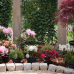 Gartenfest - Herbstlich willkommen! 2