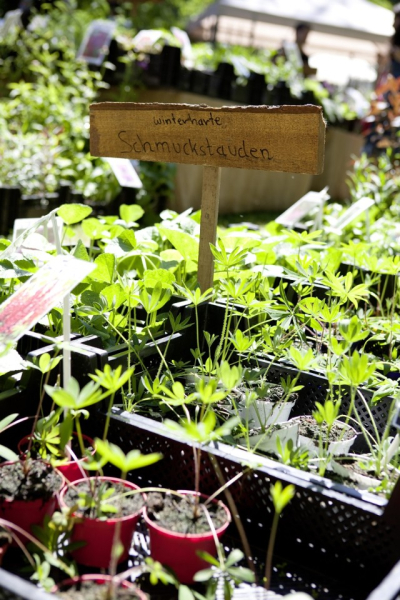 Gartenmesse Ipm Essen
