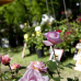 Home & Garden Ludwigsburg 8