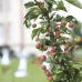 Das Gartenfest Corvey 7