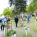Pflanzenmarkt im Hessenpark 4