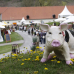 DiGa - Die Gartenmesse Bad Schussenried 1