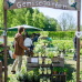 Das Gartenfest Dalheim 7