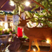 Christkindlmarkt Schloss Oelber 3