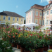 Schloss Greifenstein – Weihnachtsmarkt 3