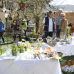 Christrosen & Ostermarkt auf Schloss Weingartsgreuth 3
