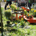 Christrosen & Ostermarkt auf Schloss Weingartsgreuth 9