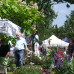 Friedewalder Gartenfest 2