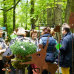 Das fränkische Gartenfest - Wasserschloss Mitwitz 3