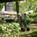 Das fränkische Gartenfest - Wasserschloss Mitwitz 5