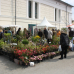 Niedersächsisches Gartenfestival 2017 5