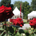 Garten & Ambiente LebensART Bad Salzuflen 1