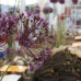 Garten&Ambiente LebensArt Bad Salzuflen