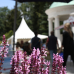 Garten & Ambiente LebensART Bad Salzuflen 4