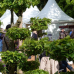 Odenwald Country Fair  7