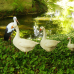 Herbstfestival Schloss Rheydt 10