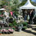 Gartenwelten Gelnhausen 2016 4