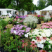 Gartenwelten Gelnhausen 2016 3