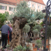 DiGa - Die Gartenmesse Ulm-Wiblingen 1