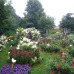 DiGa - Die Gartenmesse Ulm-Wiblingen 2