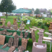 DiGa - Die Gartenmesse Ulm-Wiblingen 3