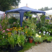 DiGa - Die Gartenmesse Ulm-Wiblingen 4
