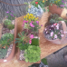 Kunst und Garten Böblingen 5