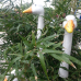 Kunst und Garten Böblingen 1