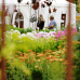 Hennebergisches Gartenfest Kloster Veßra 5