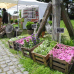 GartenLeben Freilichtmuseum Dorenburg 1