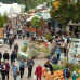 Traditionsfest mit grünem Markt 2017 5