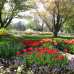 Du und dein Garten: Spezialmarkt 1