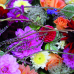 Rosen & Garten Messe Kronach 4