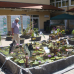 16. DIGA Gartenmesse Iffezheim 7