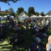 17. DIGA Gartenmesse Kloster Wiblingen 5