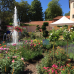17. DIGA Gartenmesse Kloster Wiblingen 4