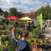 17. DIGA Gartenmesse Schloss Beuggen 4