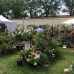 Abgesagt - 10. DIGA Gartenmesse Aldersbach 4