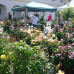 DIGA Gartenmesse Aldersbach 8