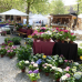 2. Altdorfer Gartenzauber 2017 2