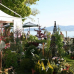 Gartentage Lindau 2018 3