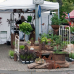 Französischer Markt Neuwied 3