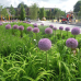 Gartenschau Natur in Pfaffenhofen a. d. Ilm 2017 9