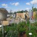 Gartenschau Natur in Pfaffenhofen a. d. Ilm 2017 6