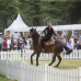 Hardenberg Klassika 9