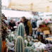 Kulturraum Garten - Neuwieder Gartenmarkt 5