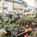 Kulturraum Garten - Neuwieder Gartenmarkt 2