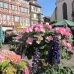 Blumenmarkt Mosbach 3