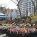 Northeimer Frühlingserwachen - Haus & Gartentrends 1